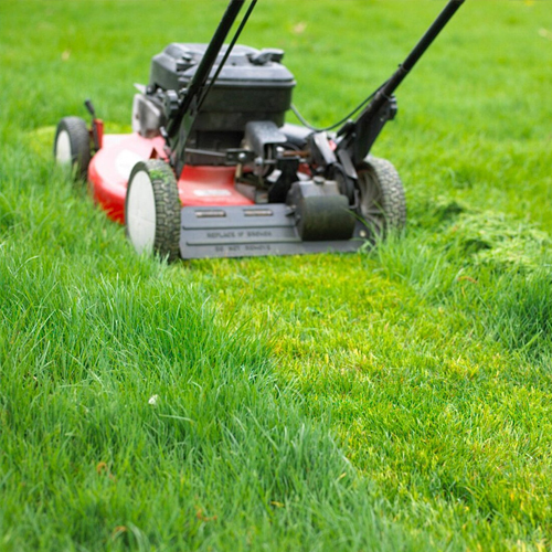 Sardine Mini Excavator Garners Rave Reviews: All-Round Advantages Win Widespread User Recognition